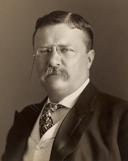President Theodore Roosevelt